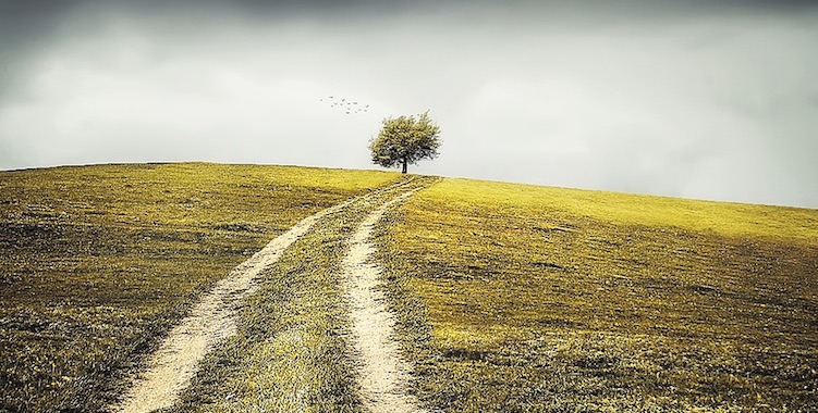 foto van een landweg