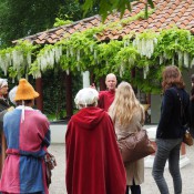 Verhaal van het ondoordringbare woud   17S